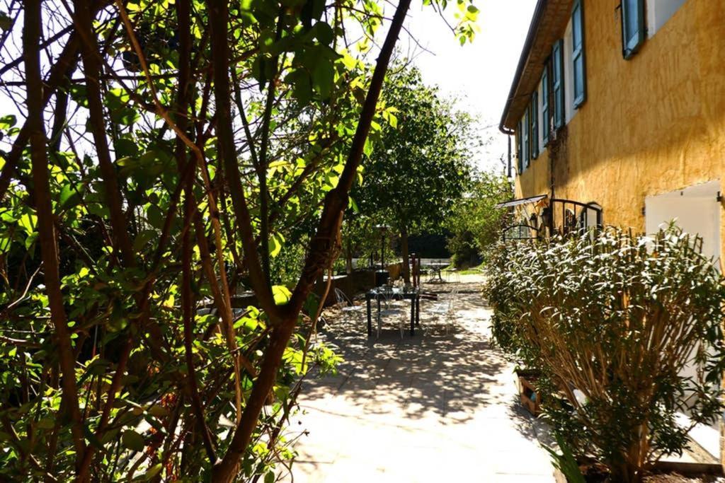 Belle Longere Au Calme - L'Auguste Maison D'Hotes Valensole Buitenkant foto
